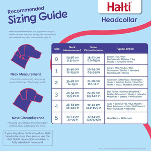 HALTI Headcollar 