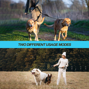 Tangle Free Double Dog Leash