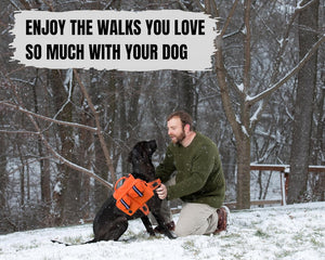 Big Dog Hiking Backpack