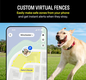 F1 GPS Smart Collar tracker