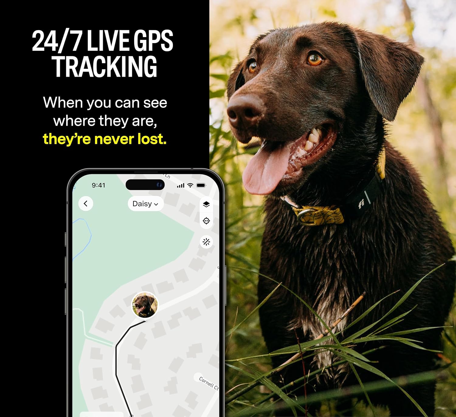 F1 GPS Smart Collar tracker