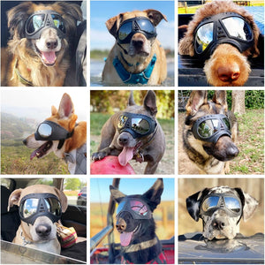 Cool Big Dog Googles