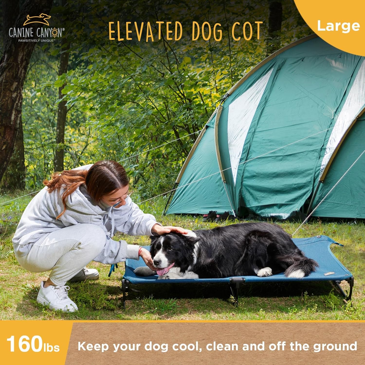 Folding Raised Dog Bed