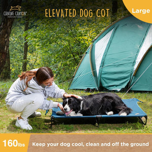 Folding Raised Dog Bed