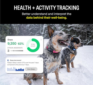 F1 GPS Smart Collar tracker