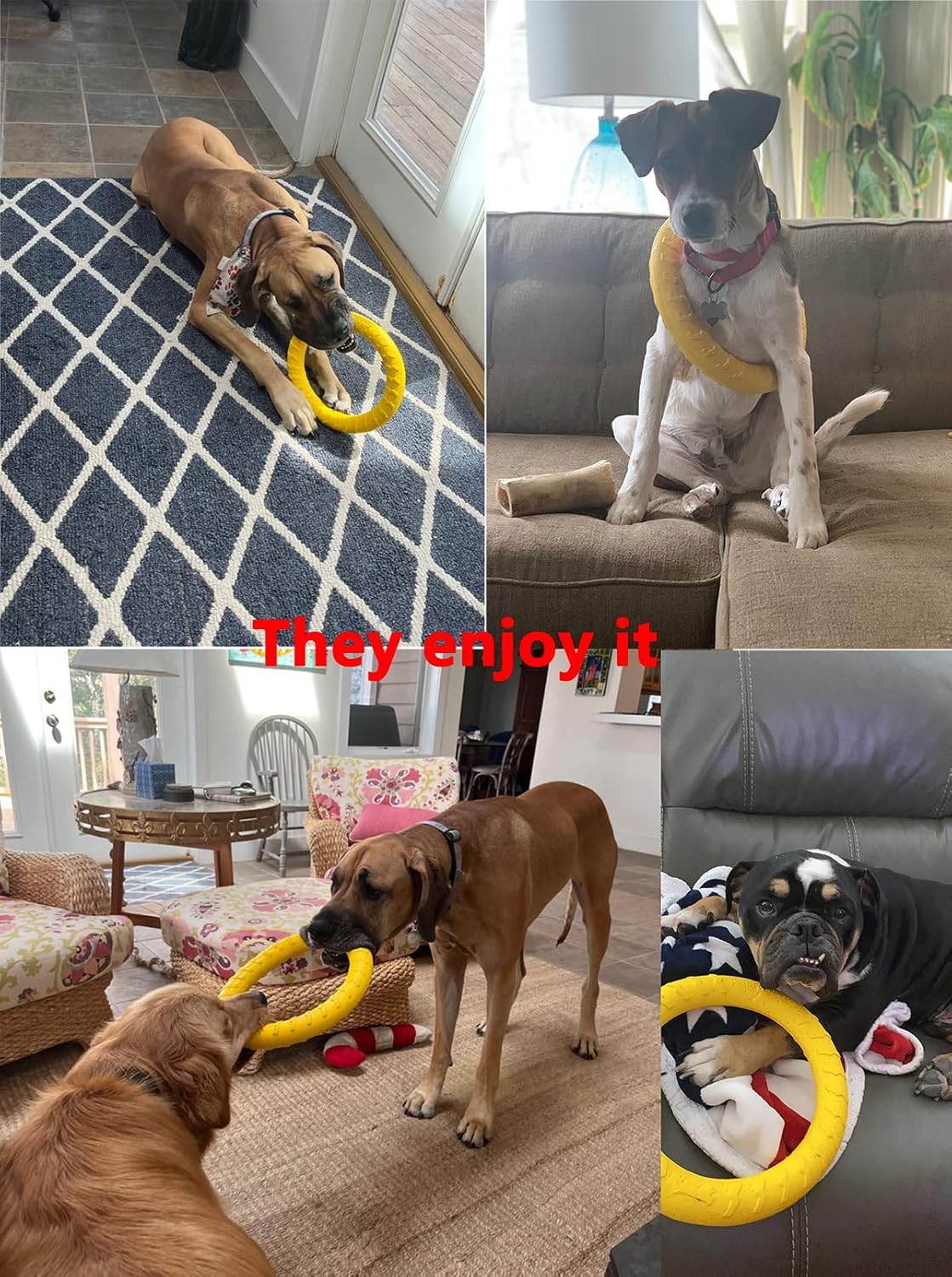 Durable Big Ring Chew Toy
