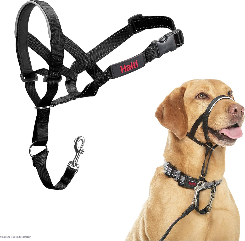 HALTI Headcollar 