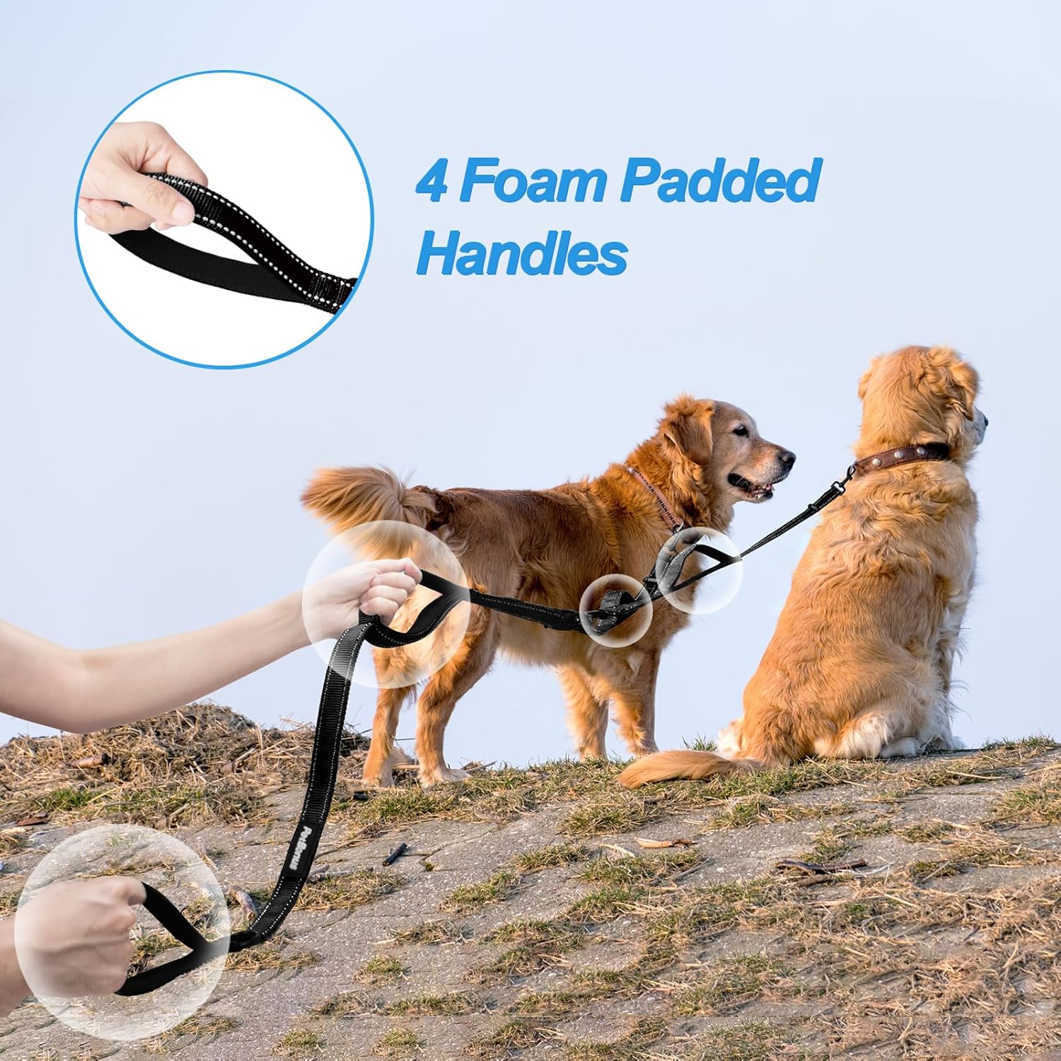 Tangle Free Double Dog Leash