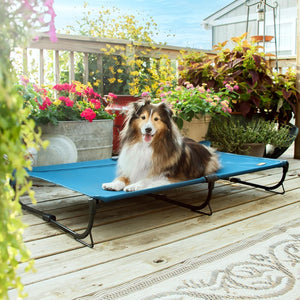 Folding Raised Dog Bed