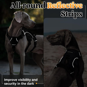 Big Dog Escape Proof Harness