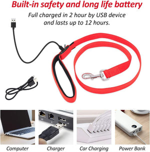 LED Dog Leash, 