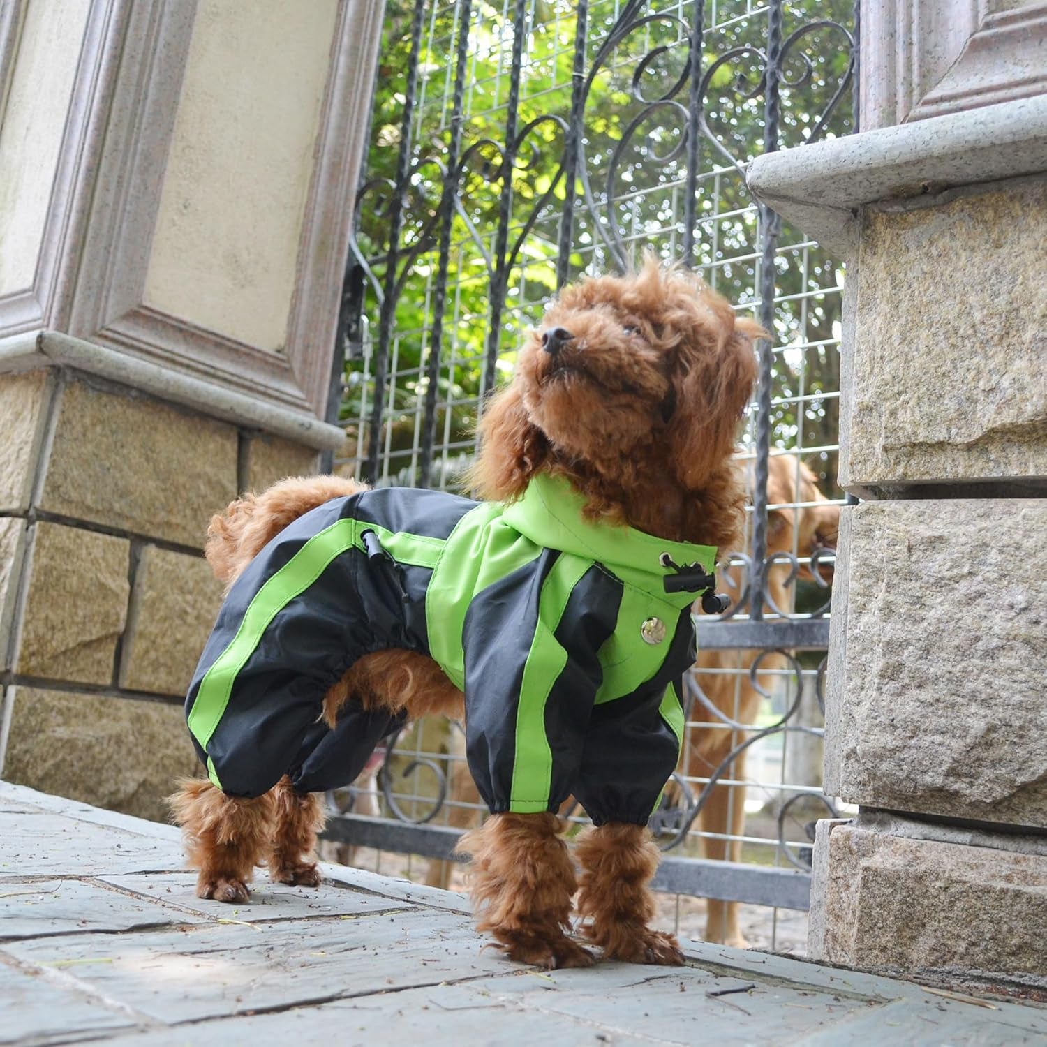 RainRover XL Raincoat for Big Dogs