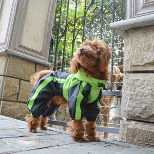 RainRover XL Raincoat for Big Dogs