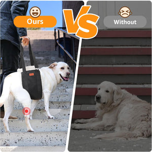 Adjustable Dog Lift Harness 