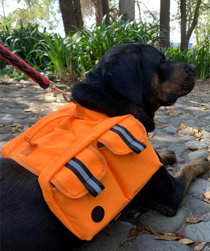 Big Dog Hiking Backpack