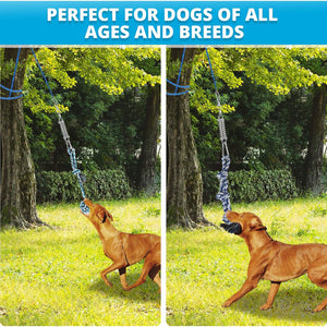 Rope Pull & Tug of War with a Big Spring Pole Kit 