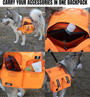 Big Dog Hiking Backpack