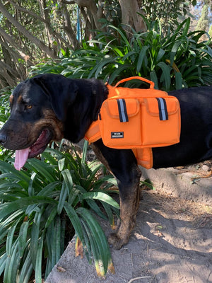 Big Dog Hiking Backpack