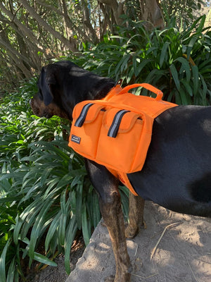 Big Dog Hiking Backpack