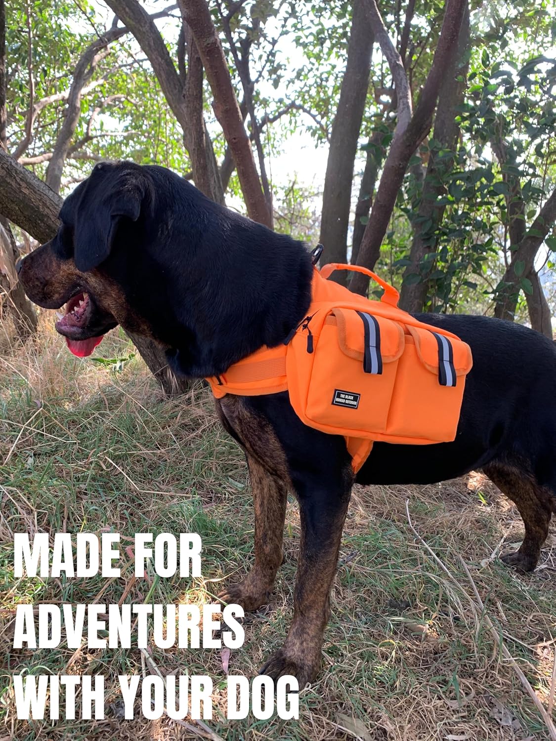 Big Dog Hiking Backpack