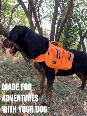 Big Dog Hiking Backpack
