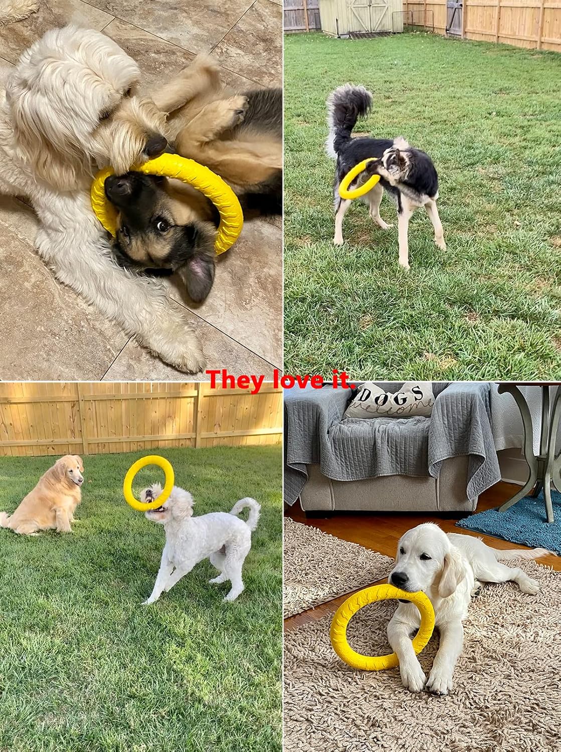 Durable Big Ring Chew Toy