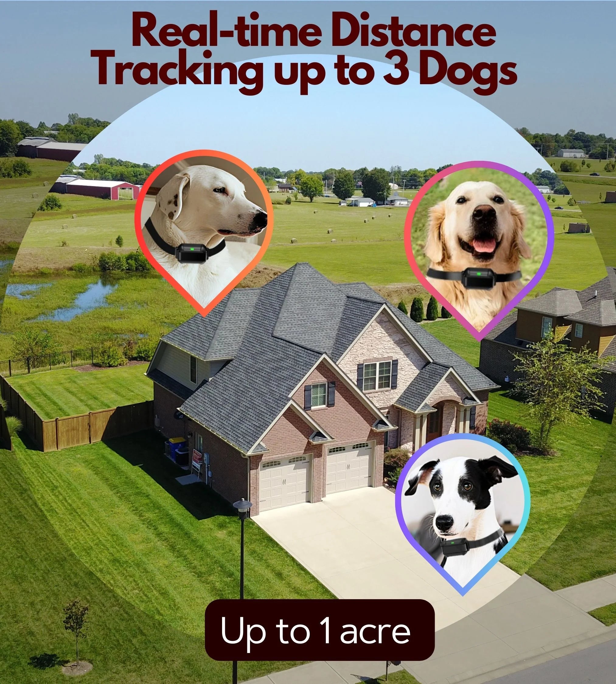 Wireless Dog Fence