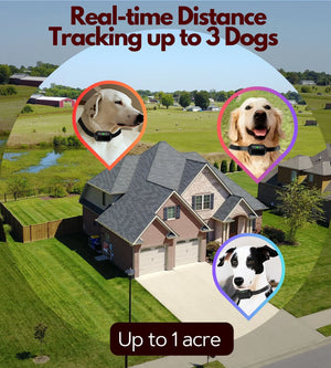 Wireless Dog Fence