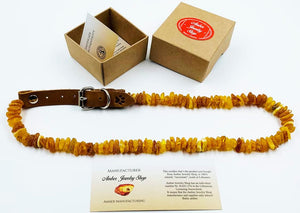 Baltic Amber Flea and Tick Collar