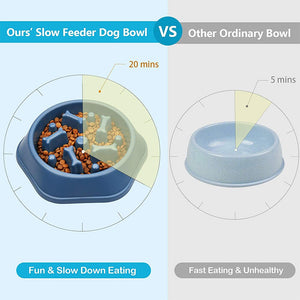 Slow Feed Dog Bowl