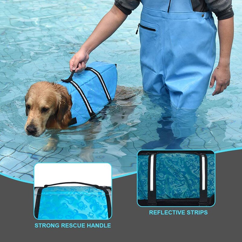 Big Dog Life jacket