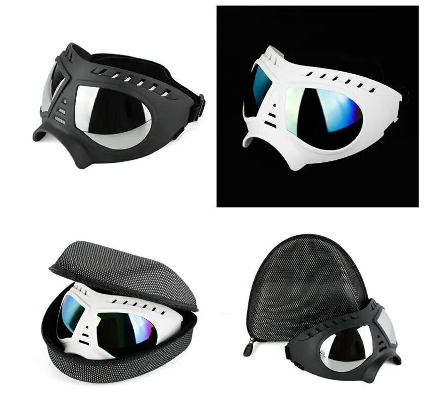 Big Dog eye protection glasses