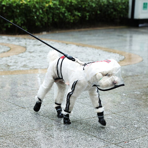 Big Dog transparent rain coat