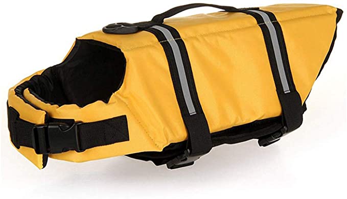 Big Dog Life jacket