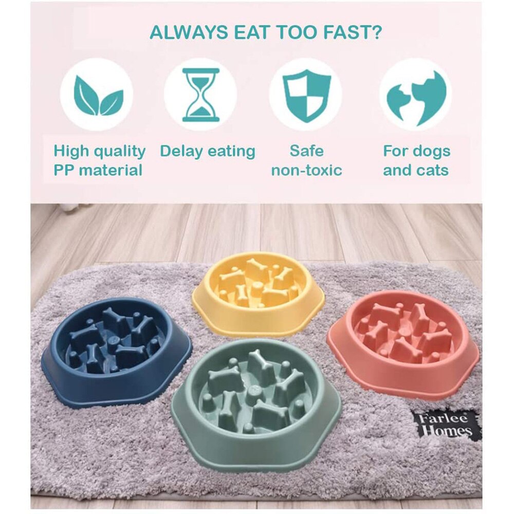 Slow Feed Dog Bowl