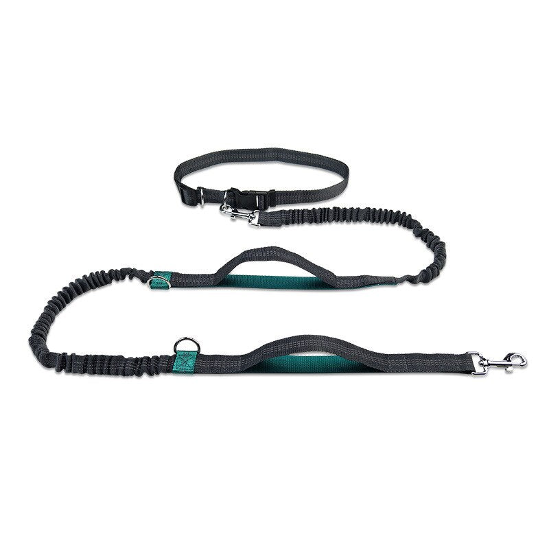 Big Dog Running leash