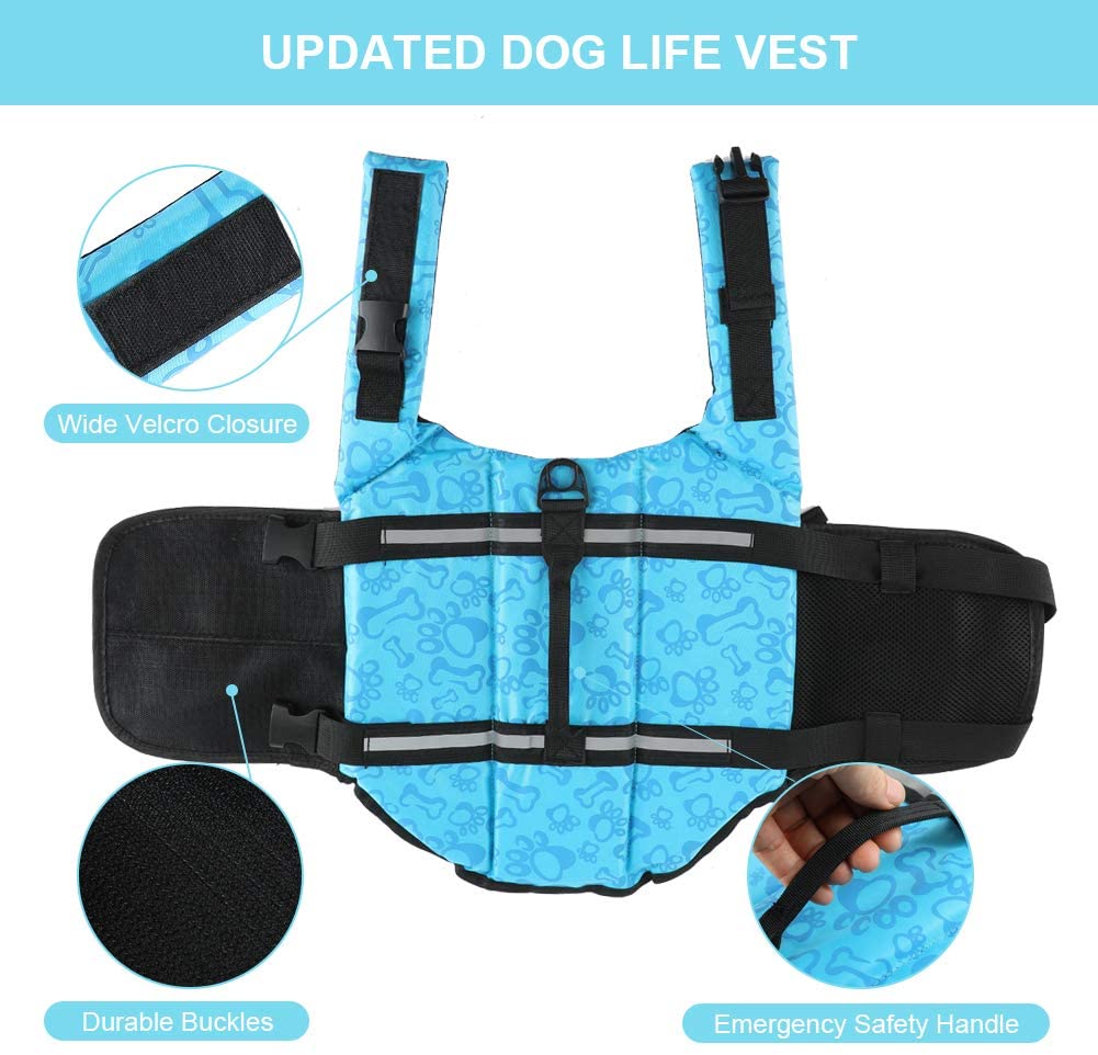 Big Dog Life jacket