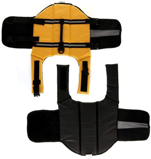 Big Dog Life jacket