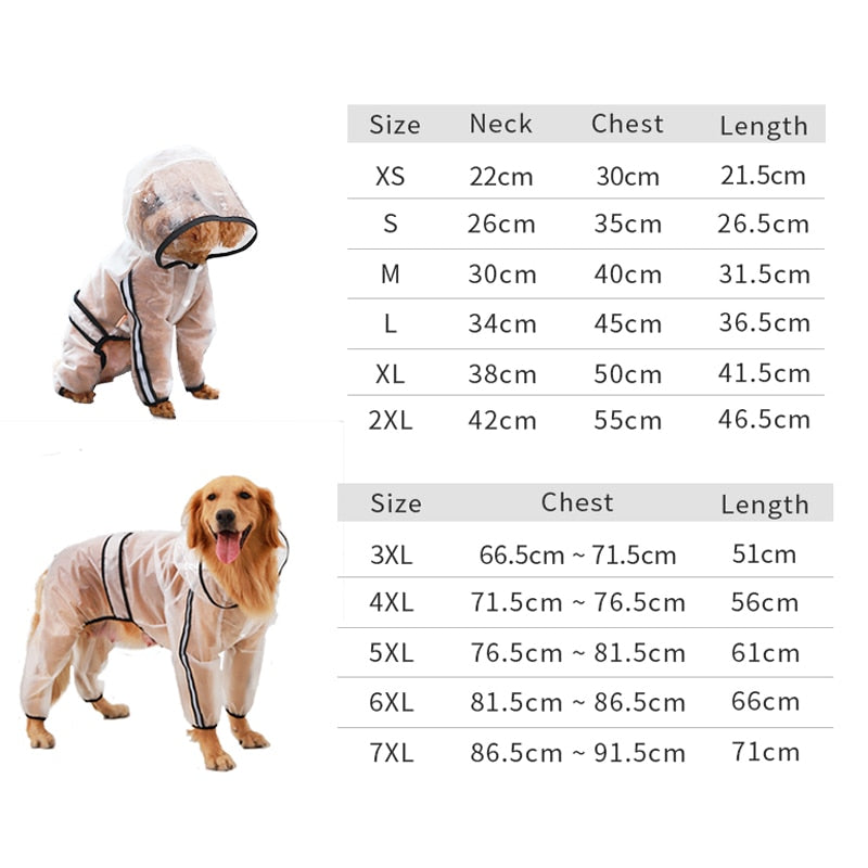 Big Dog transparent rain coat