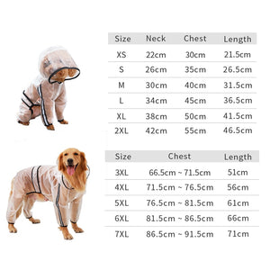 Big Dog transparent rain coat