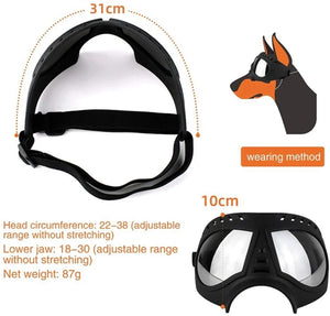 Big Dog eye protection glasses