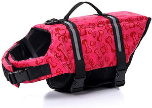 Big Dog Life jacket