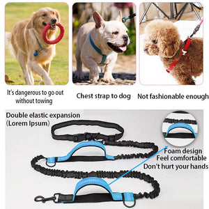 Big Dog Running leash