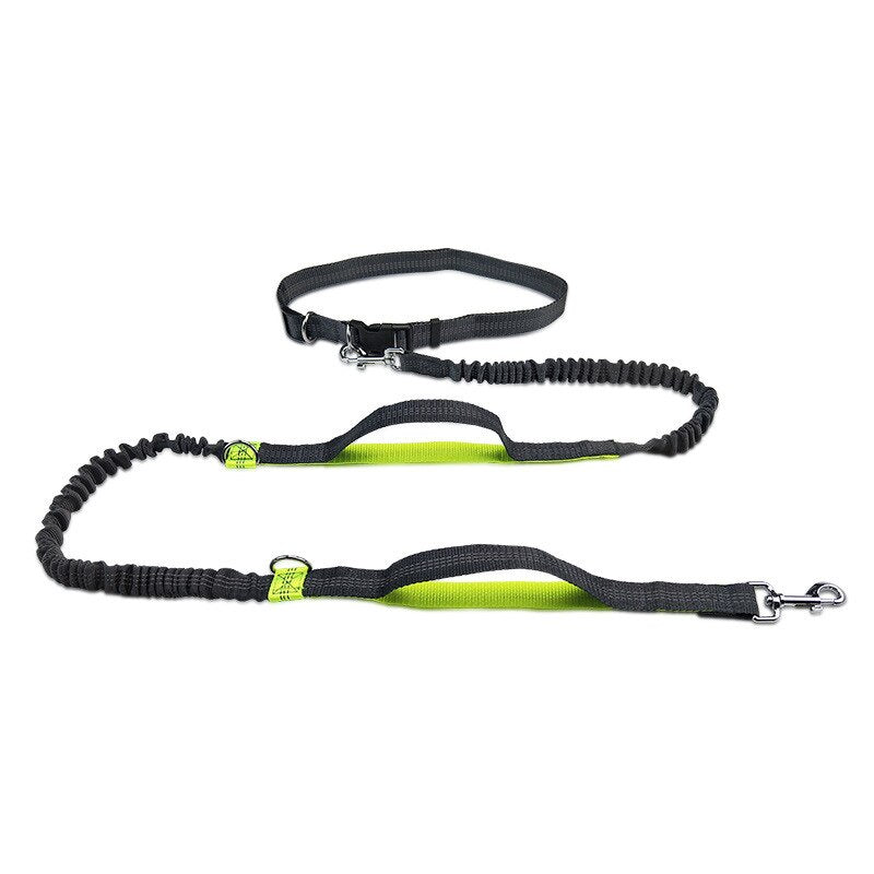 Big Dog Running leash