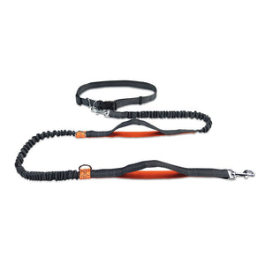 Big Dog Running leash