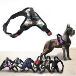 Heavy duty nylon harness collar