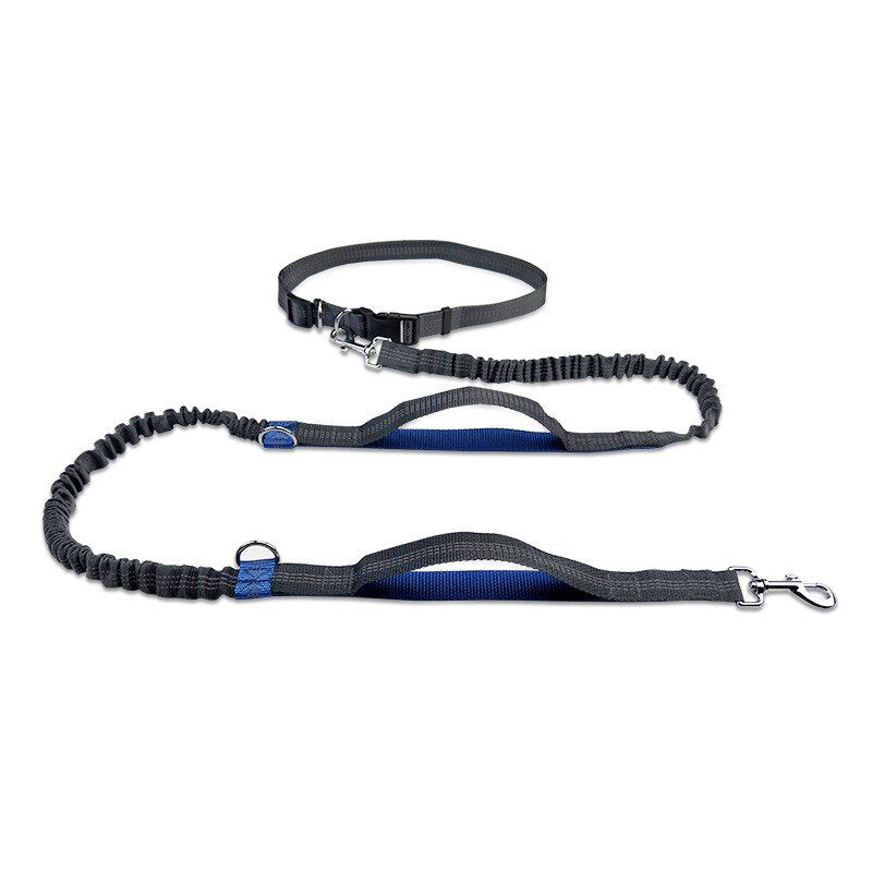 Big Dog Running leash