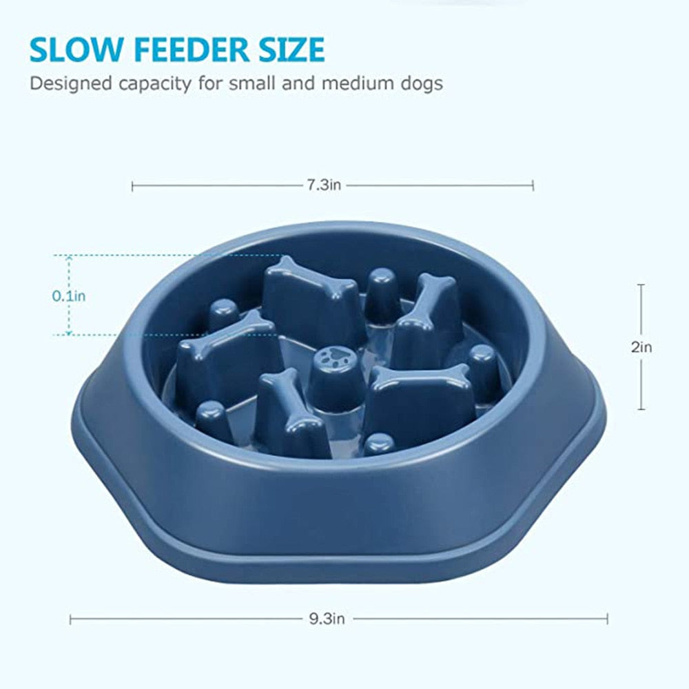 Slow Feed Dog Bowl