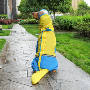 Big Dog transparent rain coat