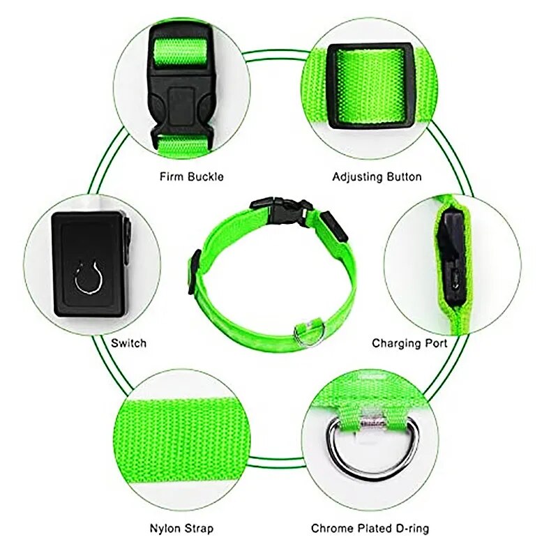 Rechargeable LED collar